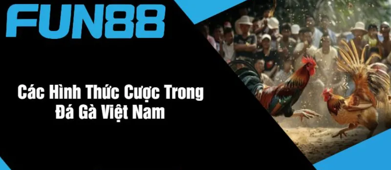 Các Hình Thức Cược Trong Đá Gà Fun88