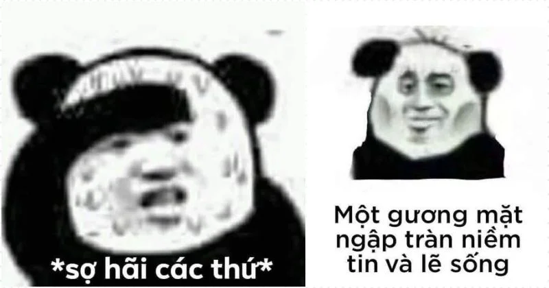 Meme hài vui nhộn mang lại tiếng cười