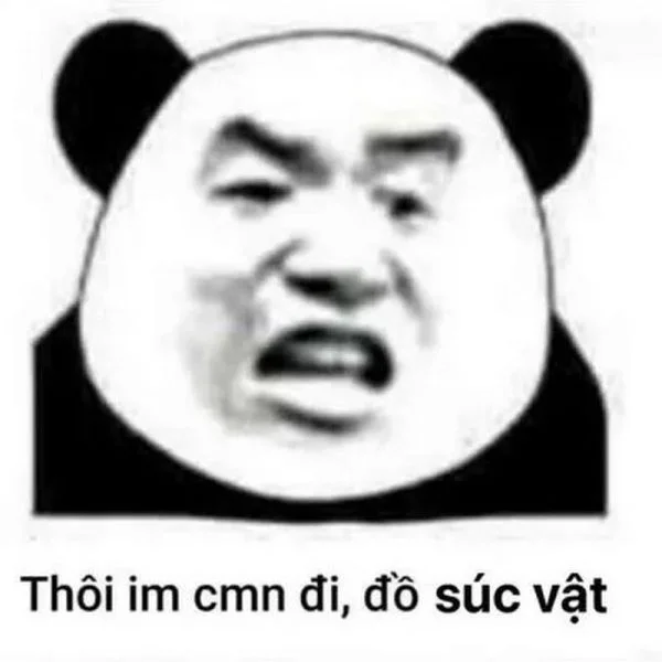 Meme thằn lằn cảm xúc hài độc đáo