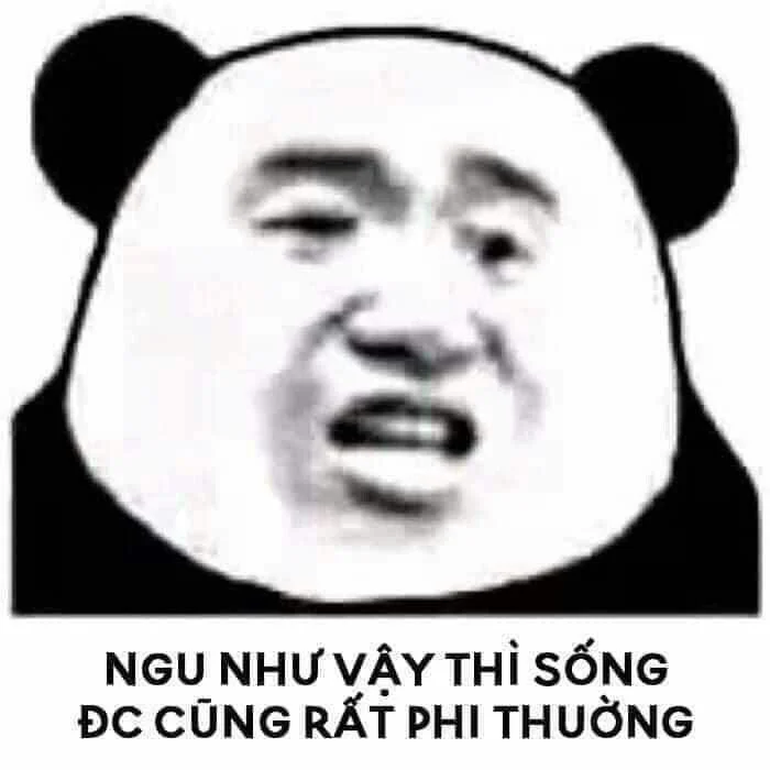 Meme gấu bựa hài gây cười mạnh