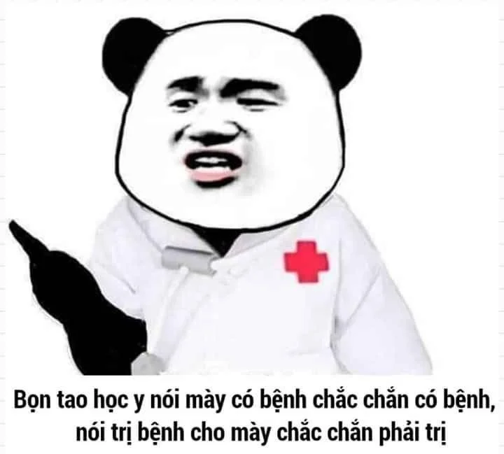 Mèo meme hài với biểu cảm cực lầy