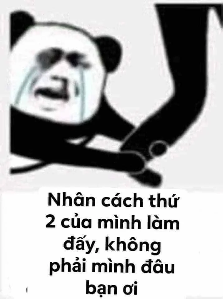 Meme chó hài hước làm ai cũng thích