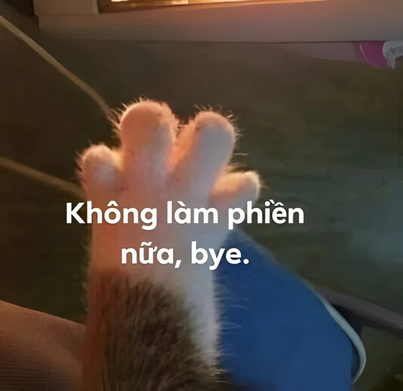 Ảnh bye bye meme đáng yêu và cực kỳ hài hước.