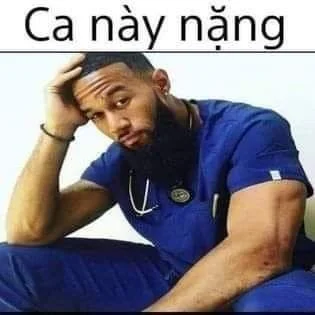 Dành cho bạn yêu mèo với meme mèo hết cứu siêu dễ thương