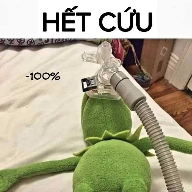 Xem ngay meme hết cứu mèo siêu dễ thương không thể bỏ lỡ