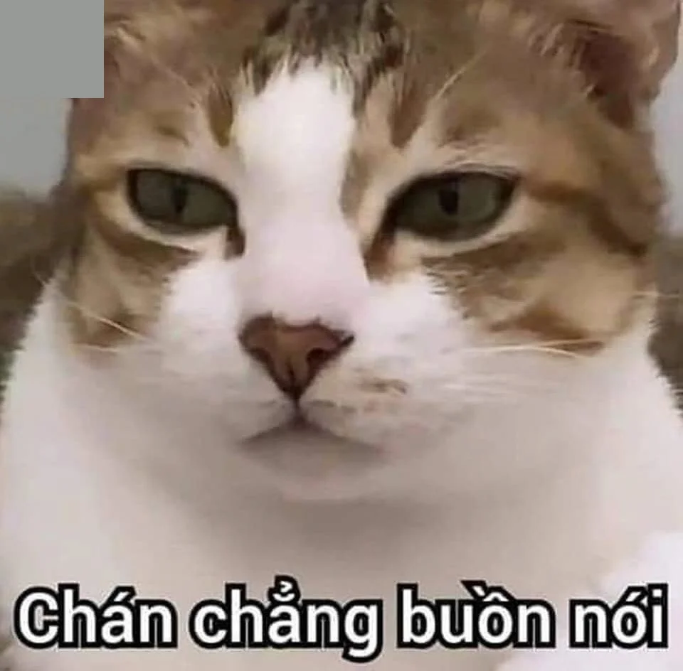 Tuyển chọn còn cứu meme khiến bạn không thể nhịn cười