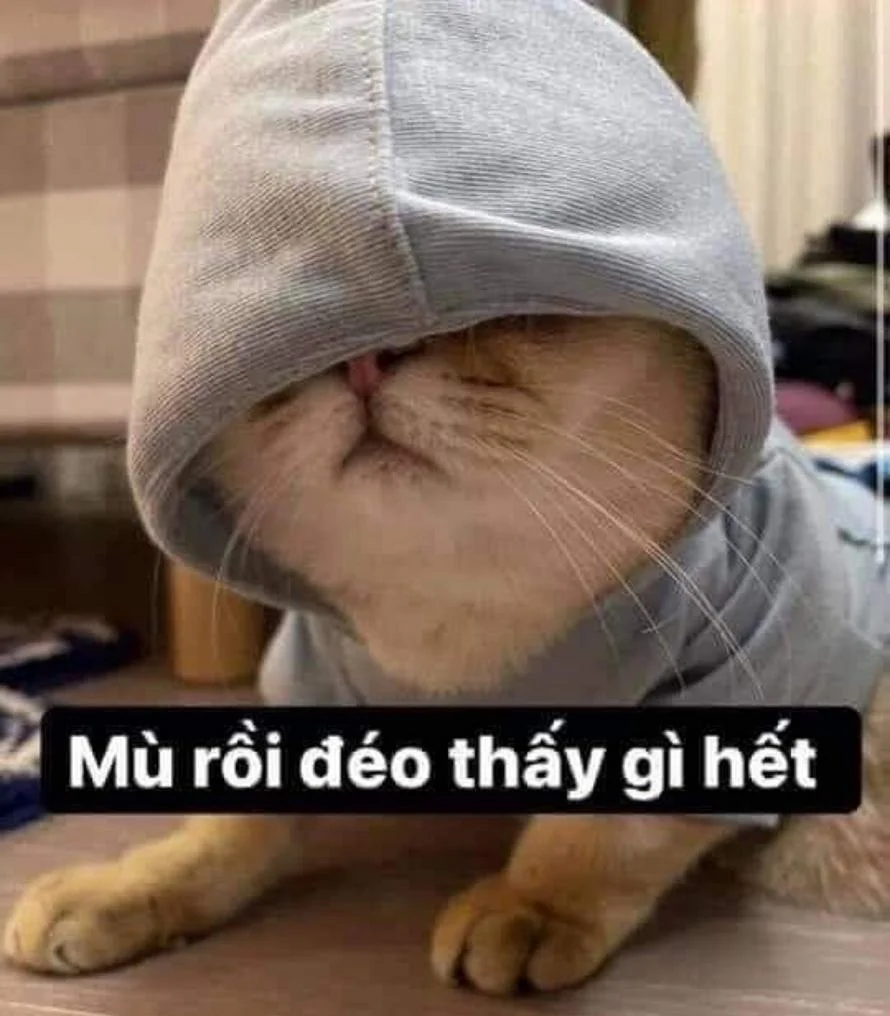 Hài hước tuyệt đối với meme đéo cứu độc lạ