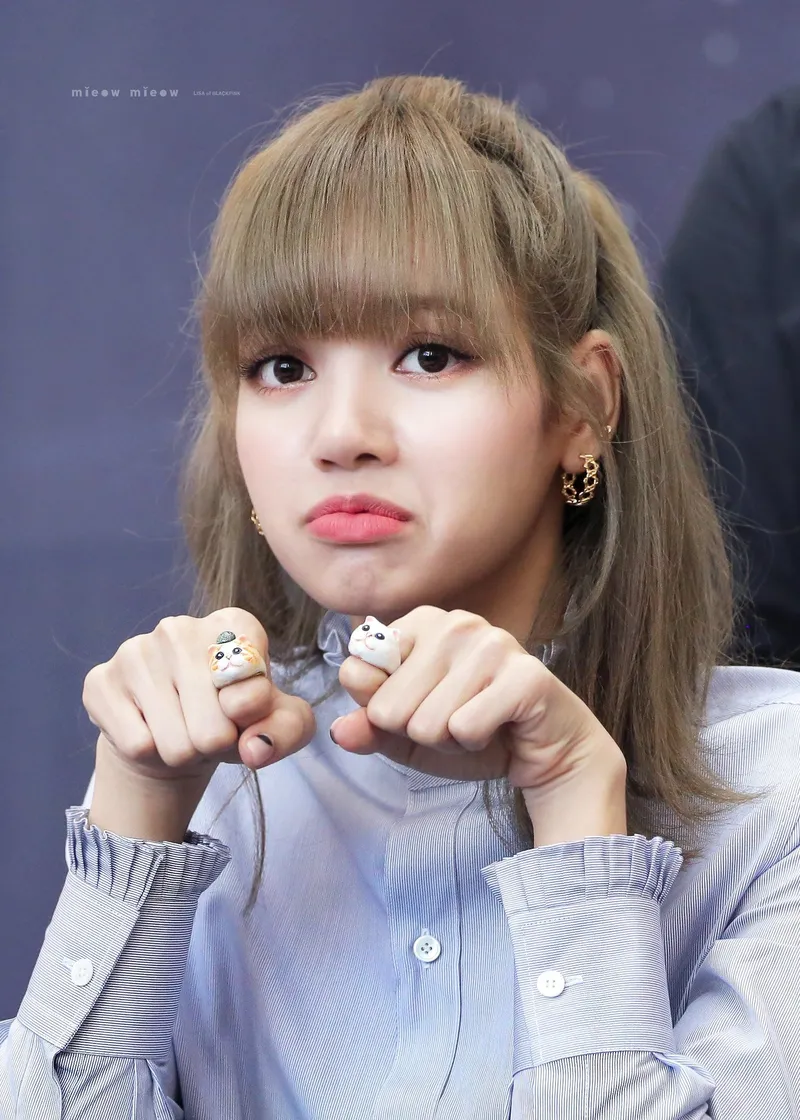 Blackpink meme lisa vui nhộn và hài hước.