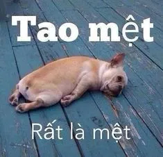 Tuyển tập ảnh chế meme bất lực cực chất dành riêng cho bạn