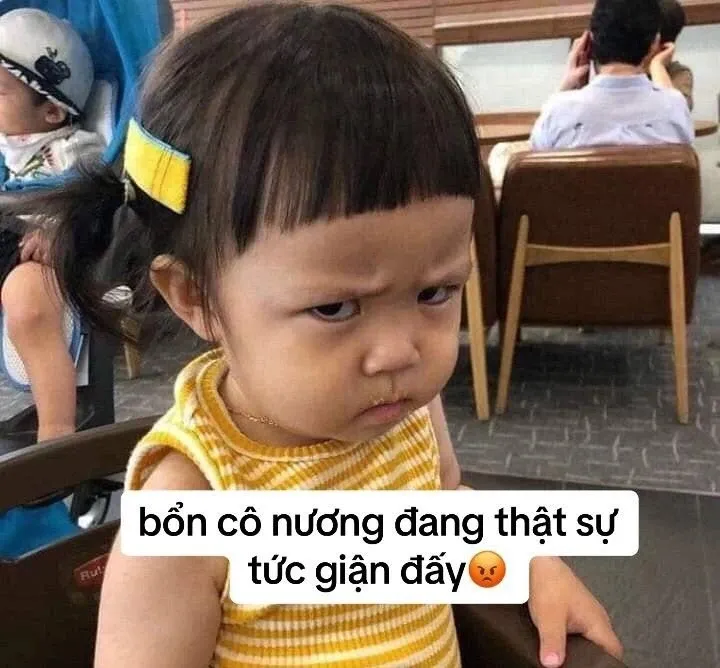 Tăng tương tác ngay với meme bất lực hài hước độc lạ