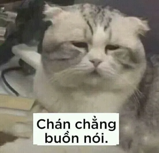 Chia sẻ ngay loạt meme anime cạn lời bất lực hấp dẫn