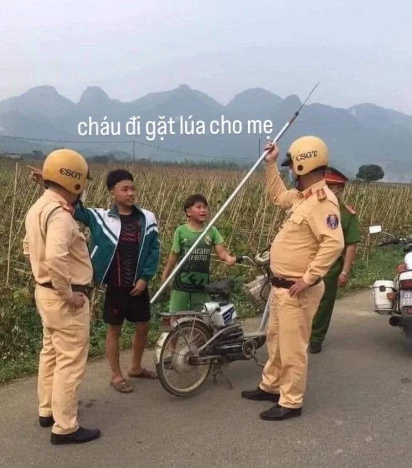 Avatar meme bựa cực chất dành riêng cho bạn