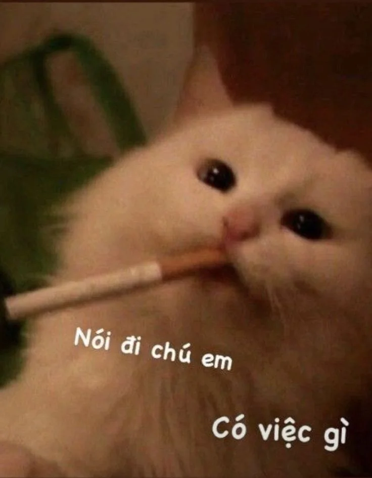 Meme bựa hài khiến ai cũng phải cười nghiêng