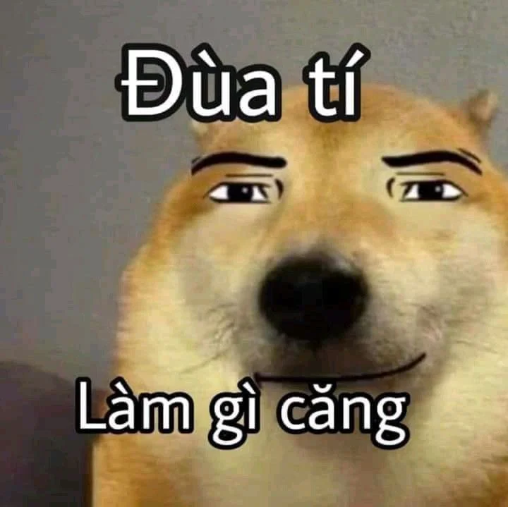 Chế bựa meme hài, độc lạ, khiến ai cũng thích