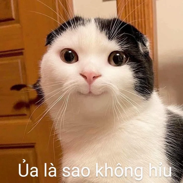 Hình meme hài bựa khó đỡ siêu sáng tạo