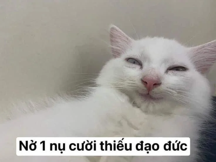 Meme chế bựa hài hước đỉnh cao sáng tạo