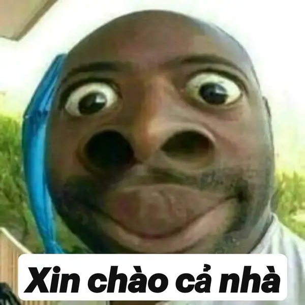 Hình meme xin chào cực hài tạo sự chú ý lớn