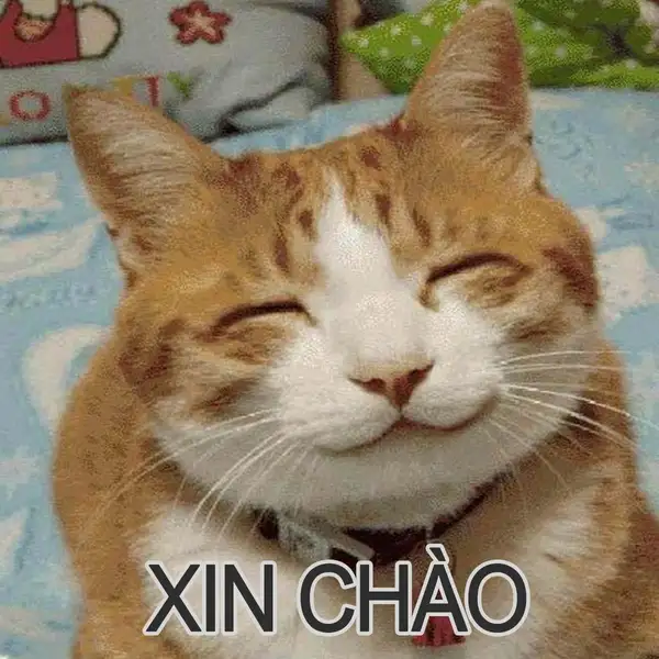 Meme xin chào hài hước gây cười dễ dàng