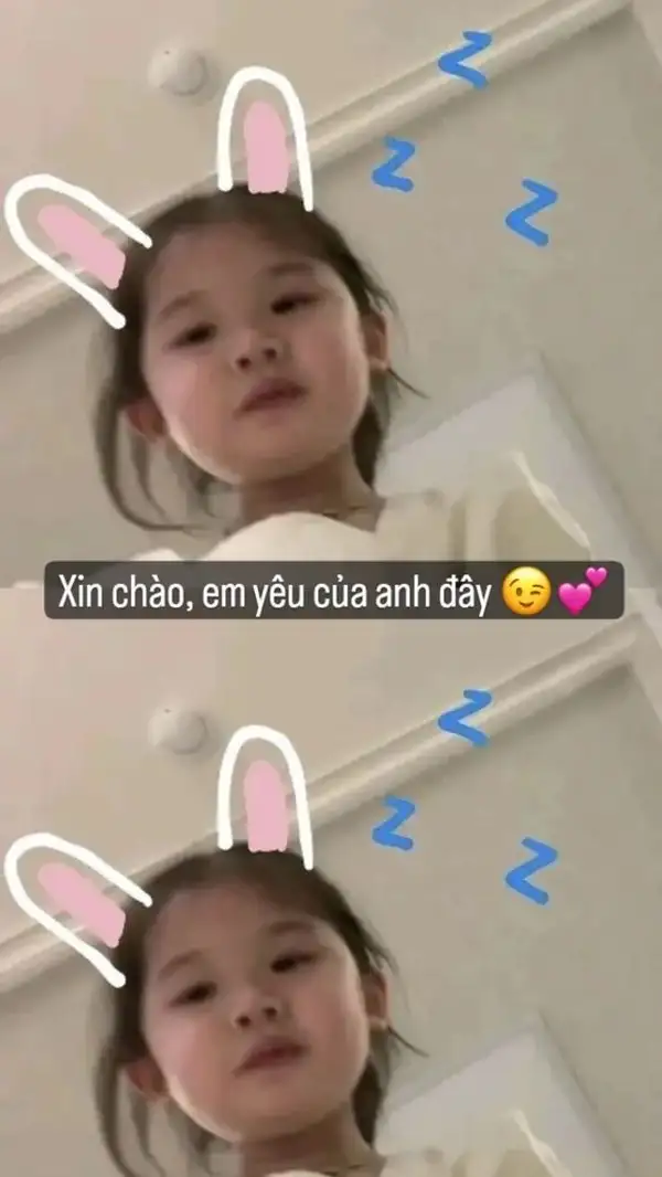 Chào buổi sáng meme hình ảnh năng lượng tươi mới