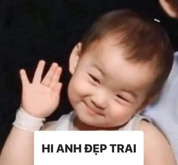 Mèo chào meme đáng yêu lan tỏa cảm xúc tích cực