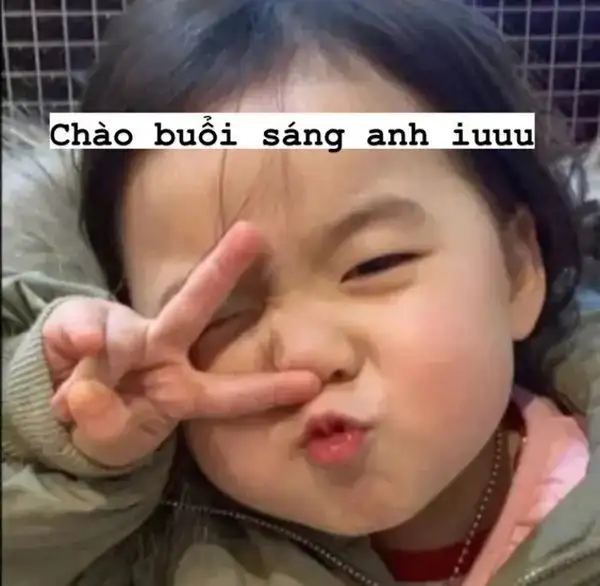 Meme mèo chào tạm biệt đầy dễ thương sáng tạo