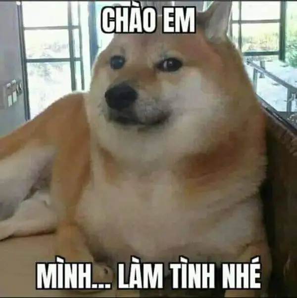 Ảnh chào meme mới lạ mang tính giải trí cao