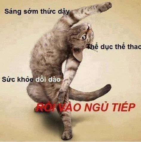 Em chào đại ca meme siêu hài hước và vui nhộn