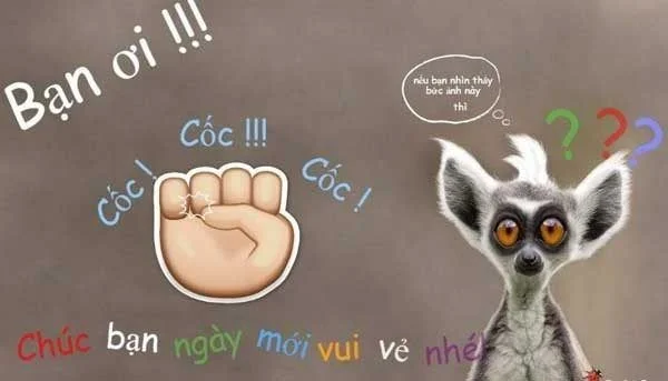 Chào mừng meme độc đáo làm nổi bật mọi dịp