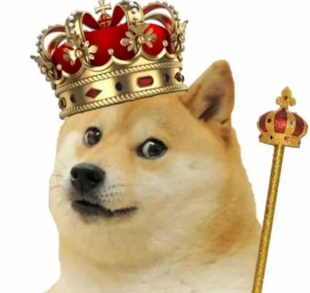 Cười nghiêng ngả với doge meme cheems nổi bật