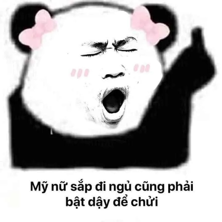 Mèo Tom mới ngủ dậy nhìn ngơ ngác mà dễ thương