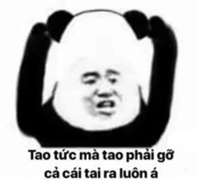 Tổng hợp meme chửi bậy siêu hài