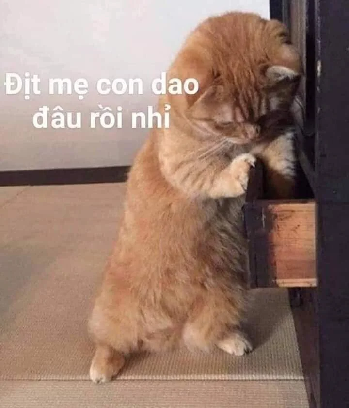 Tải meme bomman chửi cực hài hước