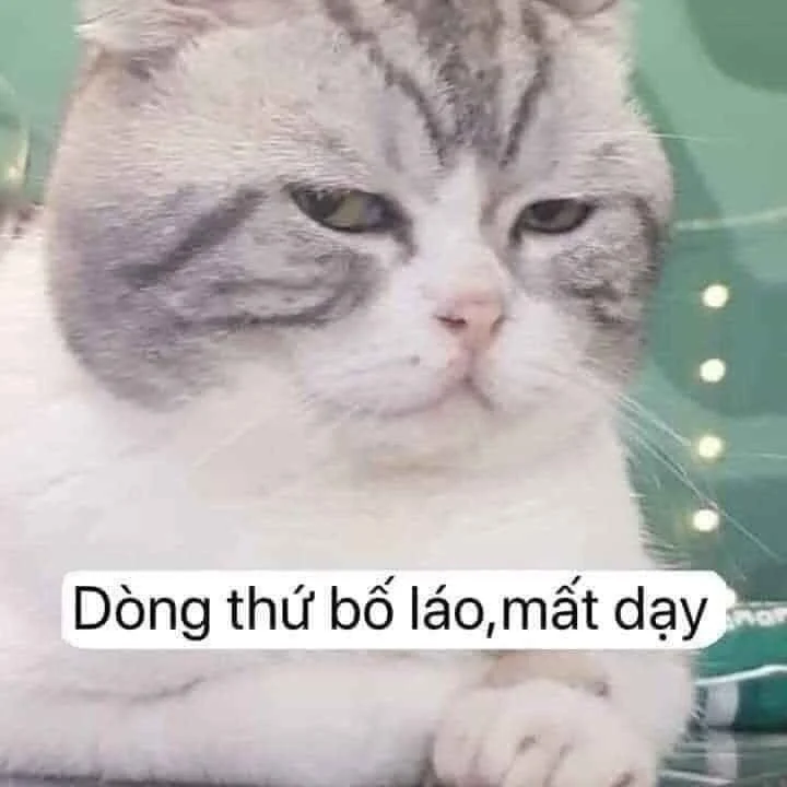 Tổng hợp meme chửi nhau hài cực đỉnh