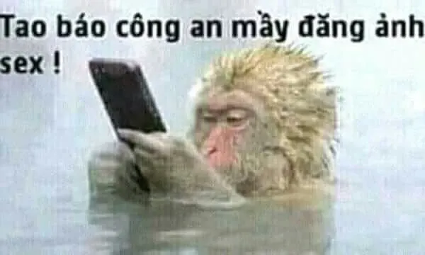 Tuyển chọn hình meme công an cực thú vị