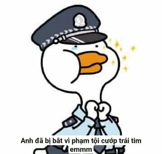 Fan thích thú với meme công an giao thông vui nhộn