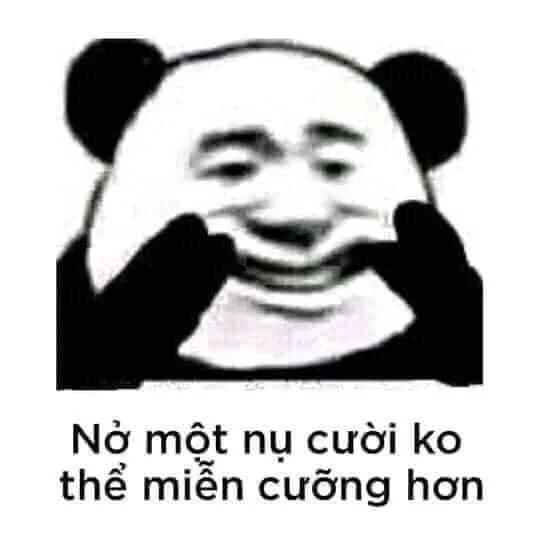 Tuyển chọn mèo cười meme đáng yêu