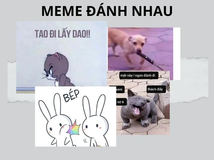 Hãy bình tĩnh, đừng đánh nhau mà