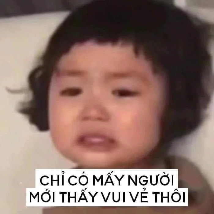 Meme mèo cute dỗi khiến ai cũng xiêu lòng