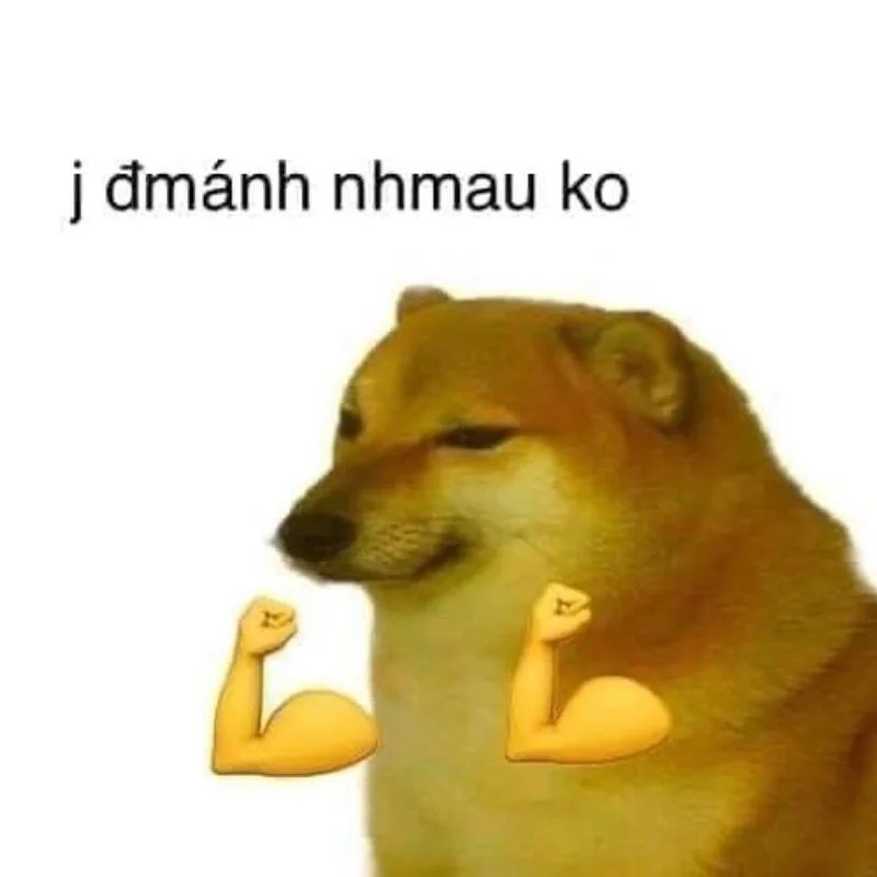 Meme đừng dỗi làm hòa nhanh cho mọi chuyện vui