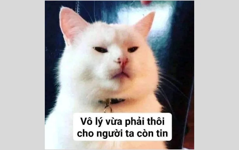 Meme hờn dỗi khiến ai cũng muốn dỗ ngay