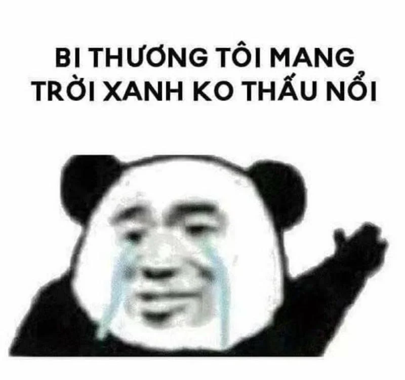 Giận meme nhưng đáng yêu khiến ai cũng bật cười