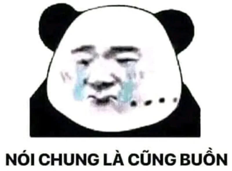 Ảnh meme giận đáng yêu làm ai cũng mỉm cười