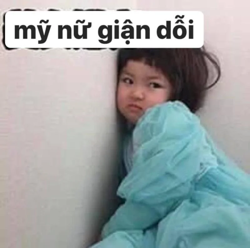 Meme gấu trúc tức giận nhưng nhìn là muốn cưng ngay