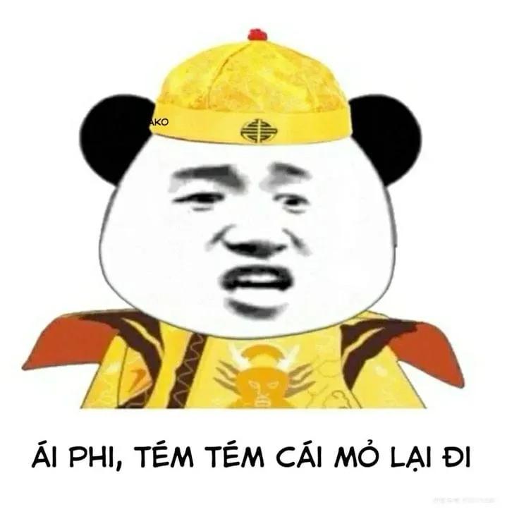 Hình ảnh quần meme cực chất và hài hước