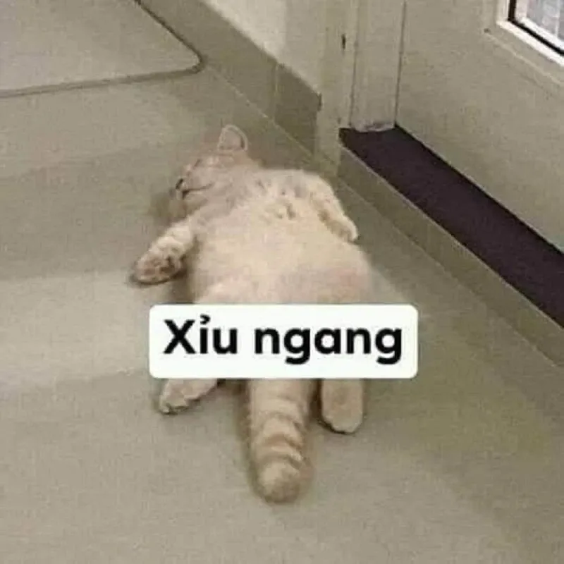 Haha sike meme sáng tạo với yếu tố bất ngờ.