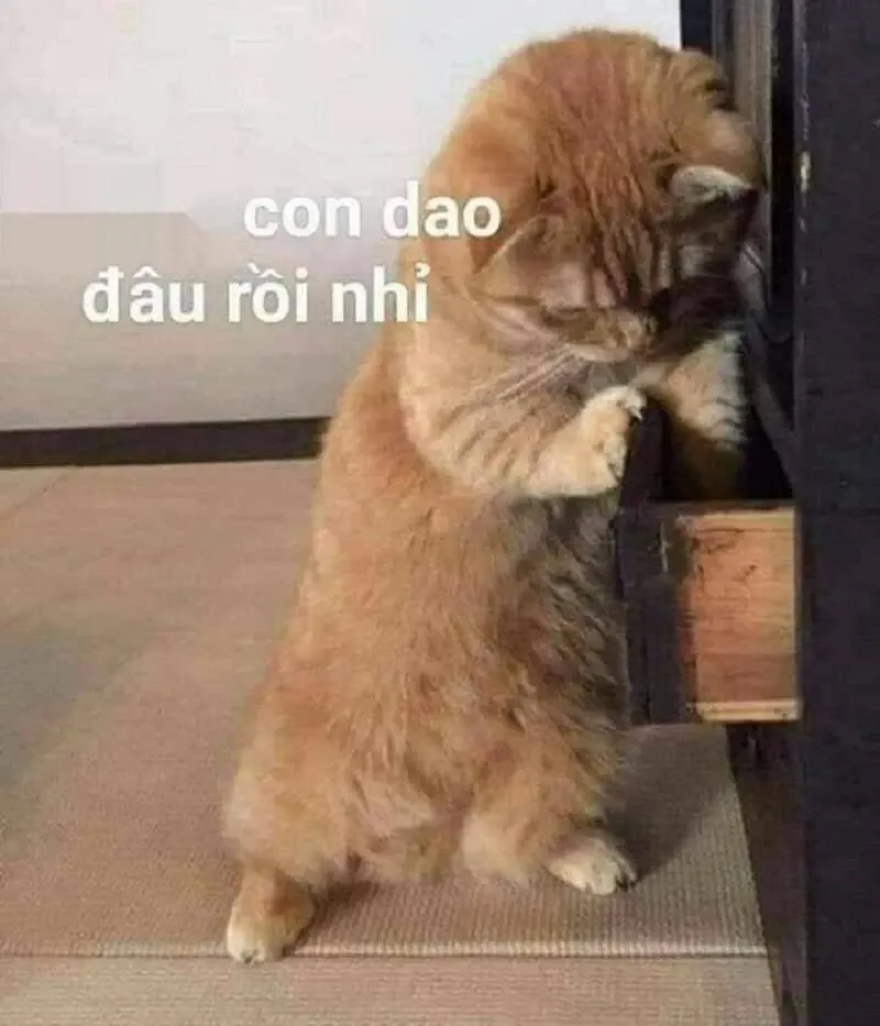 Haha poor meme đầy sáng tạo với thông điệp hài hước.