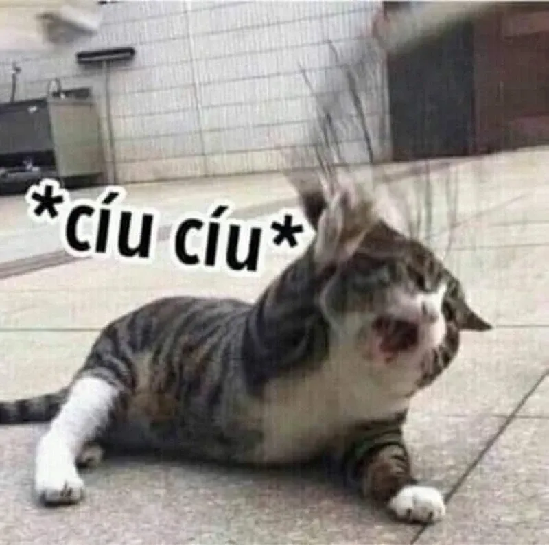 Haha or sad meme đầy cảm xúc khó quên.