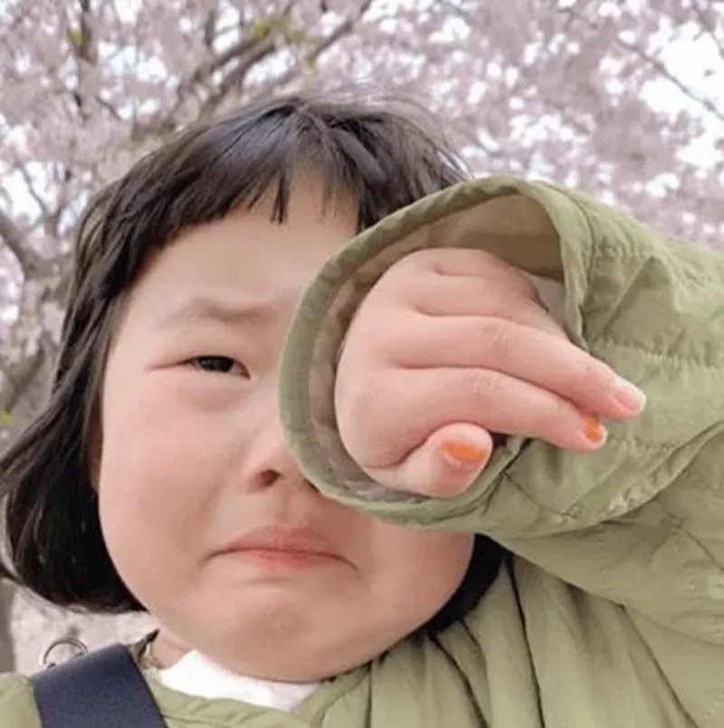 Đừng bỏ qua khóc meme mèo cute siêu dễ thương