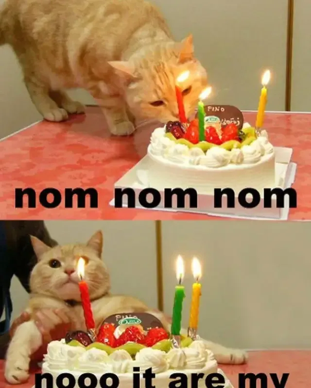 Happy birthday funny meme độc đáo tạo tiếng cười sảng khoái