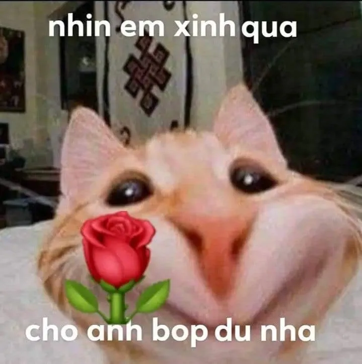 Chú chó đáng yêu mang hoa tặng làm quà